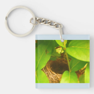 Hummingbird Nest Blue Acrylic Keychain