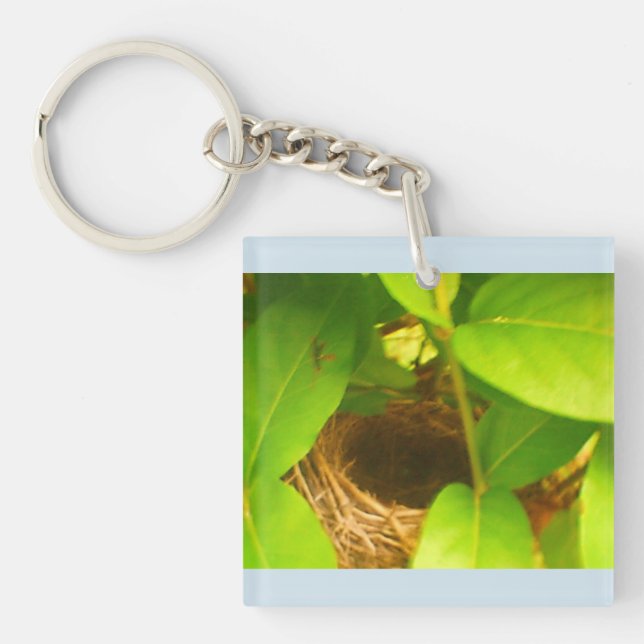 Hummingbird Nest Blue Acrylic Keychain (Framsidan)