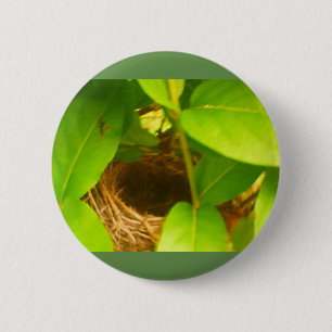 Hummingbird Nestled in Honeysuckles Button Knapp