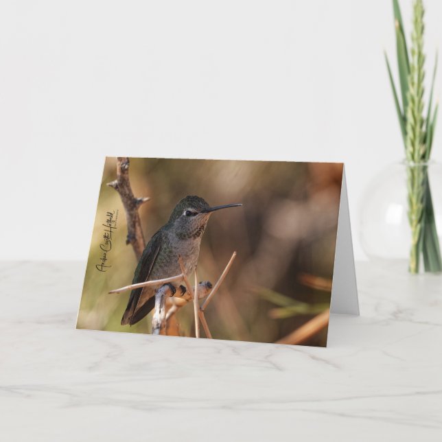 Hummingbird Note Card Kort (Framsida)
