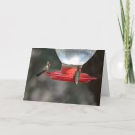 Hummingbird Notecard Kort
