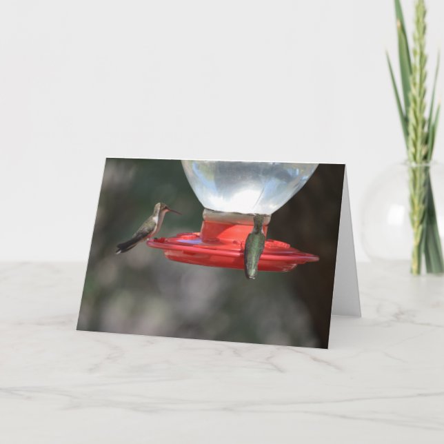 Hummingbird Notecard Kort (Framsida)