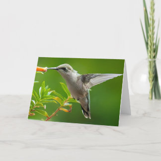 Hummingbird Notecard Tack Kort