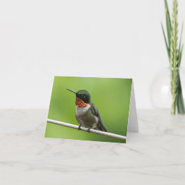 Hummingbird Notecard Tack Kort