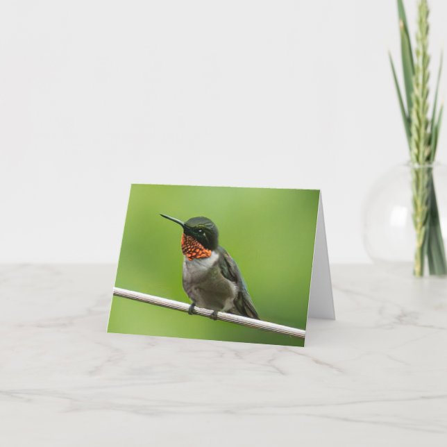 Hummingbird Notecard Tack Kort (Framsida)