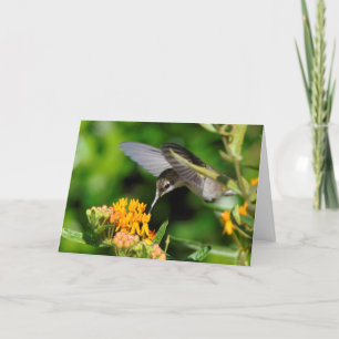 Hummingbird - nyår helgkort