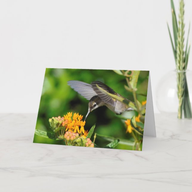 Hummingbird - nyår helgkort (Framsida)