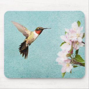 Hummingbird- och äppelblommar musmatta