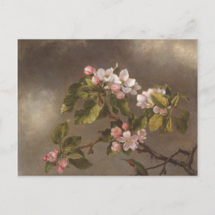 Hummingbird- och äppelBlommar Vykort