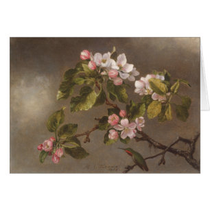 Hummingbird och Apple blommar Hälsningskort