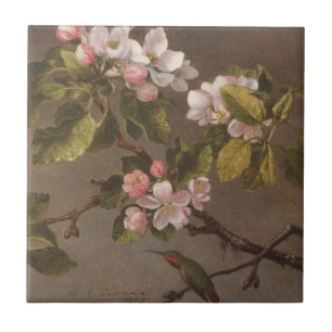 Hummingbird och Apple blommar Kakelplatta