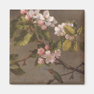Hummingbird och Apple blommar Magnet