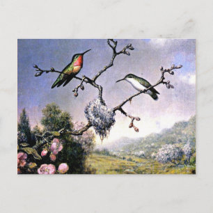 Hummingbird och Apple-Blommar Vykort