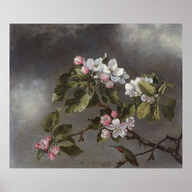Hummingbird och Apple Blommars Martin J. Heade Poster (Framsidan)