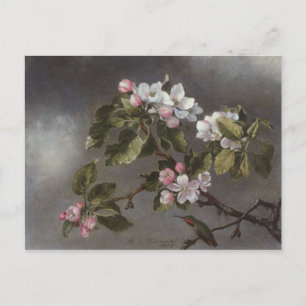 Hummingbird och Apple Blommars Martin J. Heade Vykort