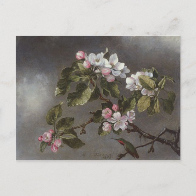 Hummingbird och Apple Blommars Martin J. Heade Vykort (Framsida)