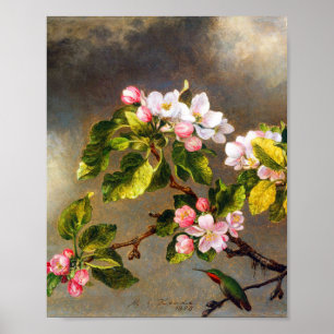 Hummingbird och blommar från Martin Johnson Heade Poster