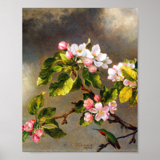 Hummingbird och blommar från Martin Johnson Heade Poster