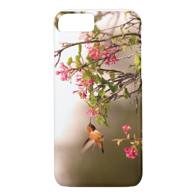 Hummingbird och blommor Case-Mate iPhone skal (Baksida)