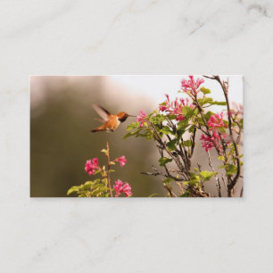Hummingbird och blommor visitkort