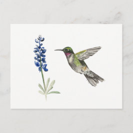 Hummingbird och Bluebonnet Vykort