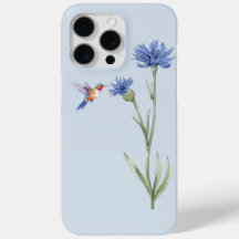 Hummingbird och Cornblomma