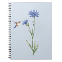 Hummingbird och Cornblomma