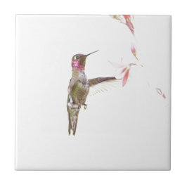Hummingbird och enkelblomma kakelplatta