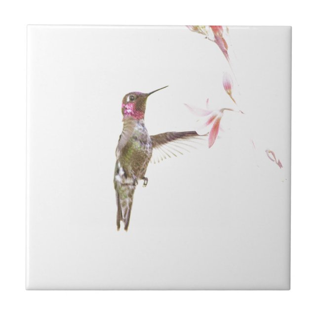 Hummingbird och enkelblomma kakelplatta (Framsidan)