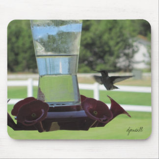 Hummingbird och Feeder Musmatta