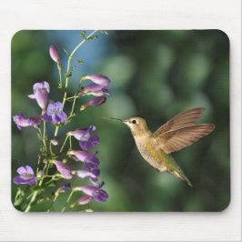 Hummingbird och Flower Musmatta