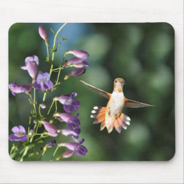 Hummingbird och Flower Musmatta