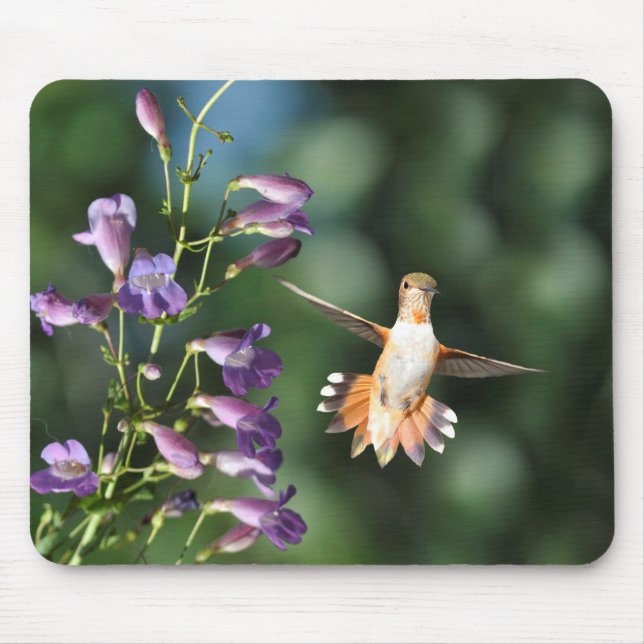 Hummingbird och Flower Musmatta (Framsidan)