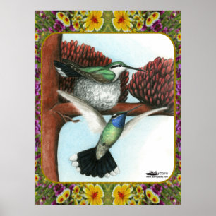 Hummingbird och Flowers #3 Poster