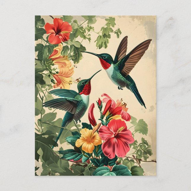 Hummingbird och Flowers: vykort för Vintage (Framsida)