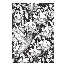 Hummingbird och fuchsia fototryck