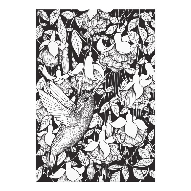 Hummingbird och fuchsia fototryck (Framsidan)