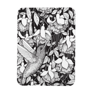 Hummingbird och fuchsia magnet