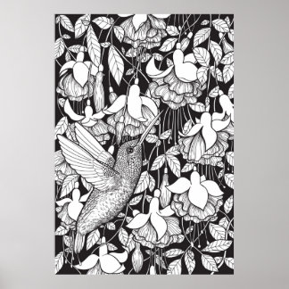 Hummingbird och fuchsia poster
