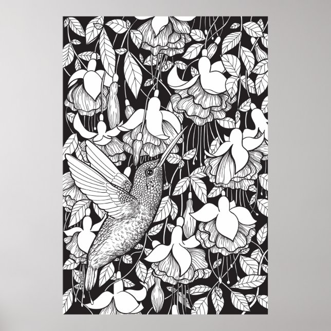 Hummingbird och fuchsia poster (Framsidan)