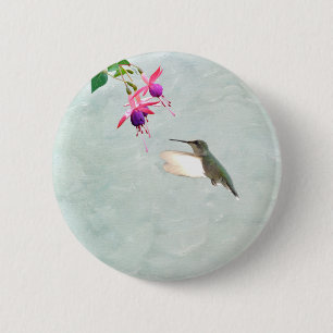 Hummingbird och Fuschia Knapp