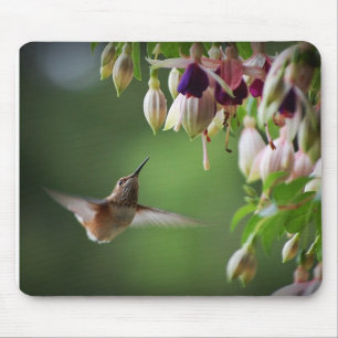 Hummingbird- och Fushia blommaväxt Mousepad Musmatta