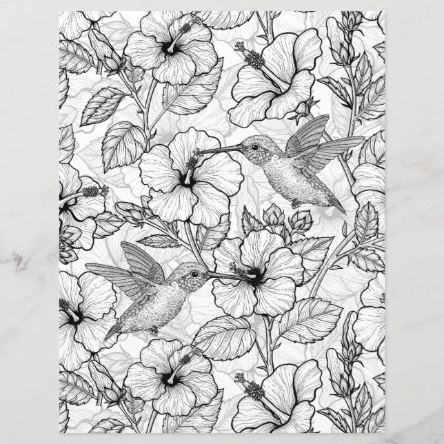 Hummingbird och hibiscus blommor b&w (Framsida)
