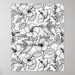 Hummingbird och hibiscus blommor b&w poster