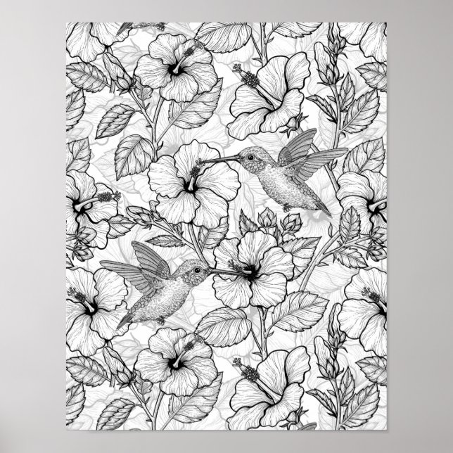 Hummingbird och hibiscus blommor b&w poster (Framsidan)