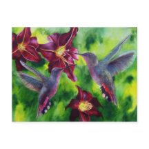 Hummingbird och Lillies Post Card