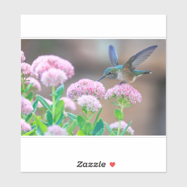 Hummingbird och nektar klistermärken (Ark)