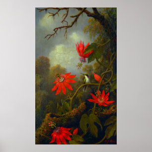 Hummingbird och passionblommor (1875) Poster