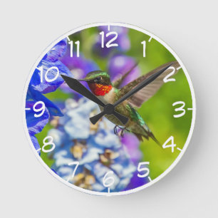 Hummingbird och riddarsporre rund klocka