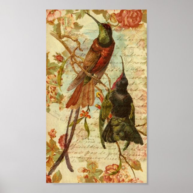 Hummingbird och Ro Poster (Framsidan)